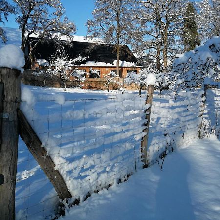 Gite Spacieux Et Cosy A La Campagne Proche De Strasbourg Achenheim Exterior foto