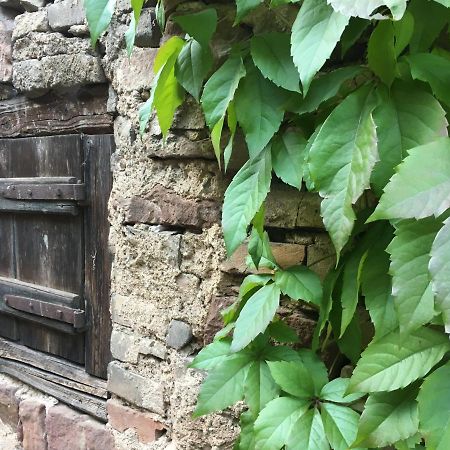 Gite Spacieux Et Cosy A La Campagne Proche De Strasbourg Achenheim Exterior foto