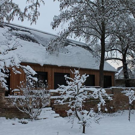 Gite Spacieux Et Cosy A La Campagne Proche De Strasbourg Achenheim Exterior foto