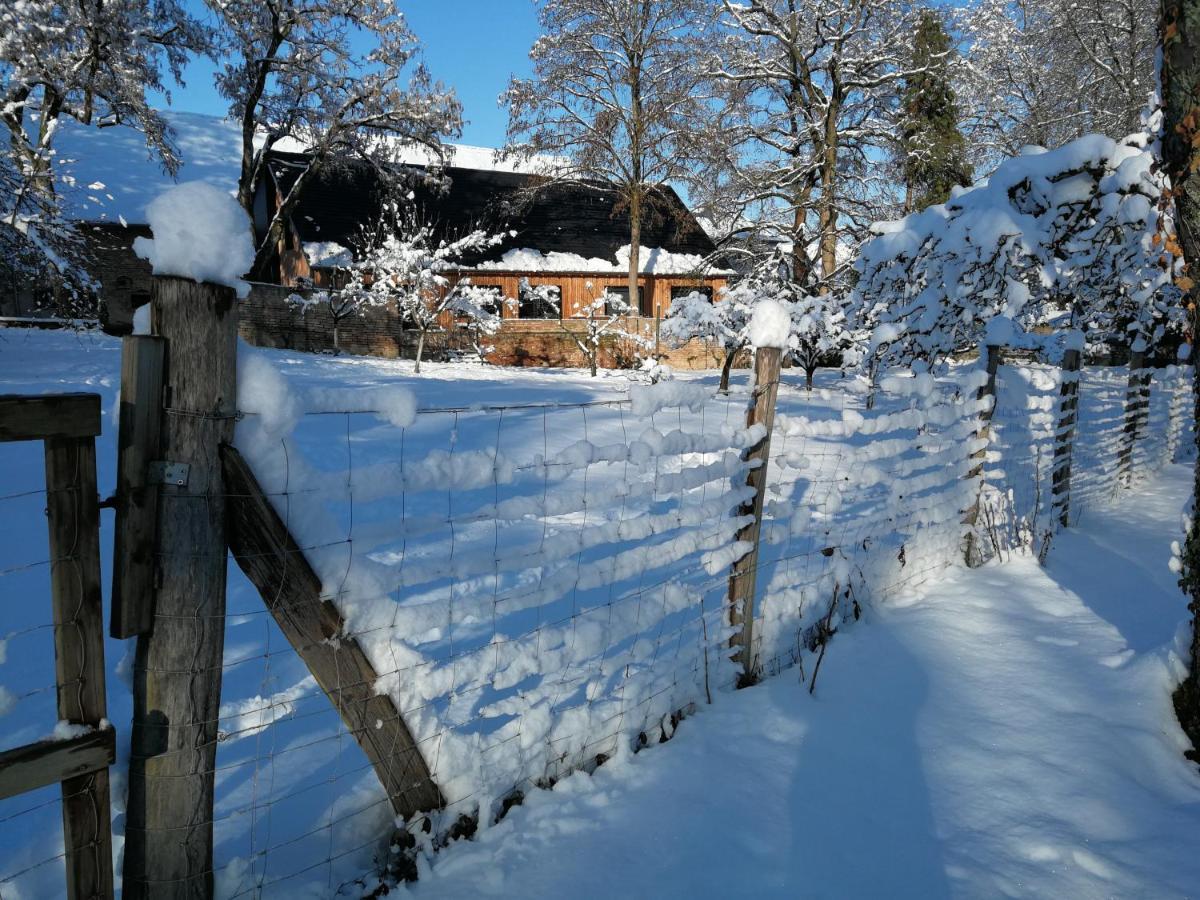 Gite Spacieux Et Cosy A La Campagne Proche De Strasbourg Achenheim Exterior foto