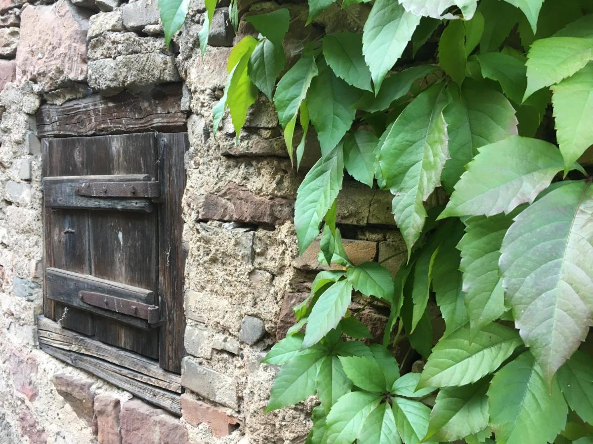 Gite Spacieux Et Cosy A La Campagne Proche De Strasbourg Achenheim Exterior foto