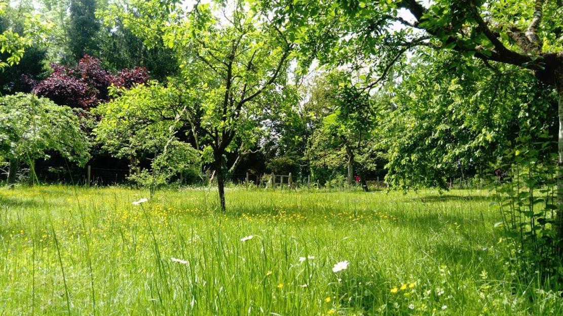 Gite Spacieux Et Cosy A La Campagne Proche De Strasbourg Achenheim Exterior foto